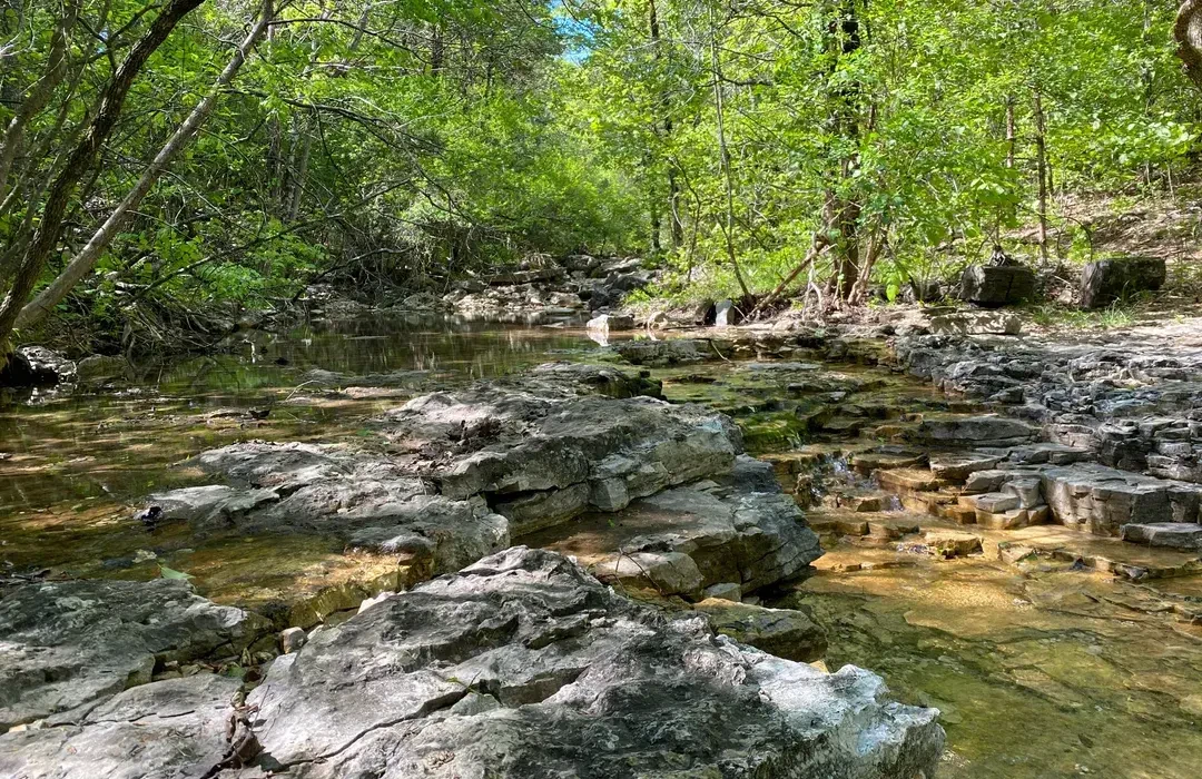 Rocky creek bed with clear water and lush green Ozark forest canopy